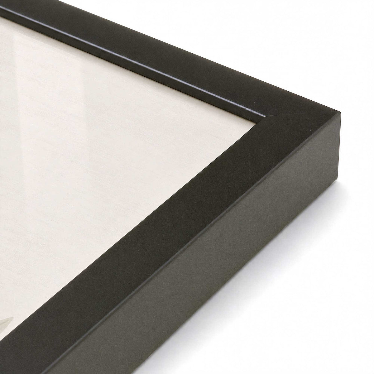 [Color:Satin Black], Picture of art in a Polished Chrome frame at an angle
