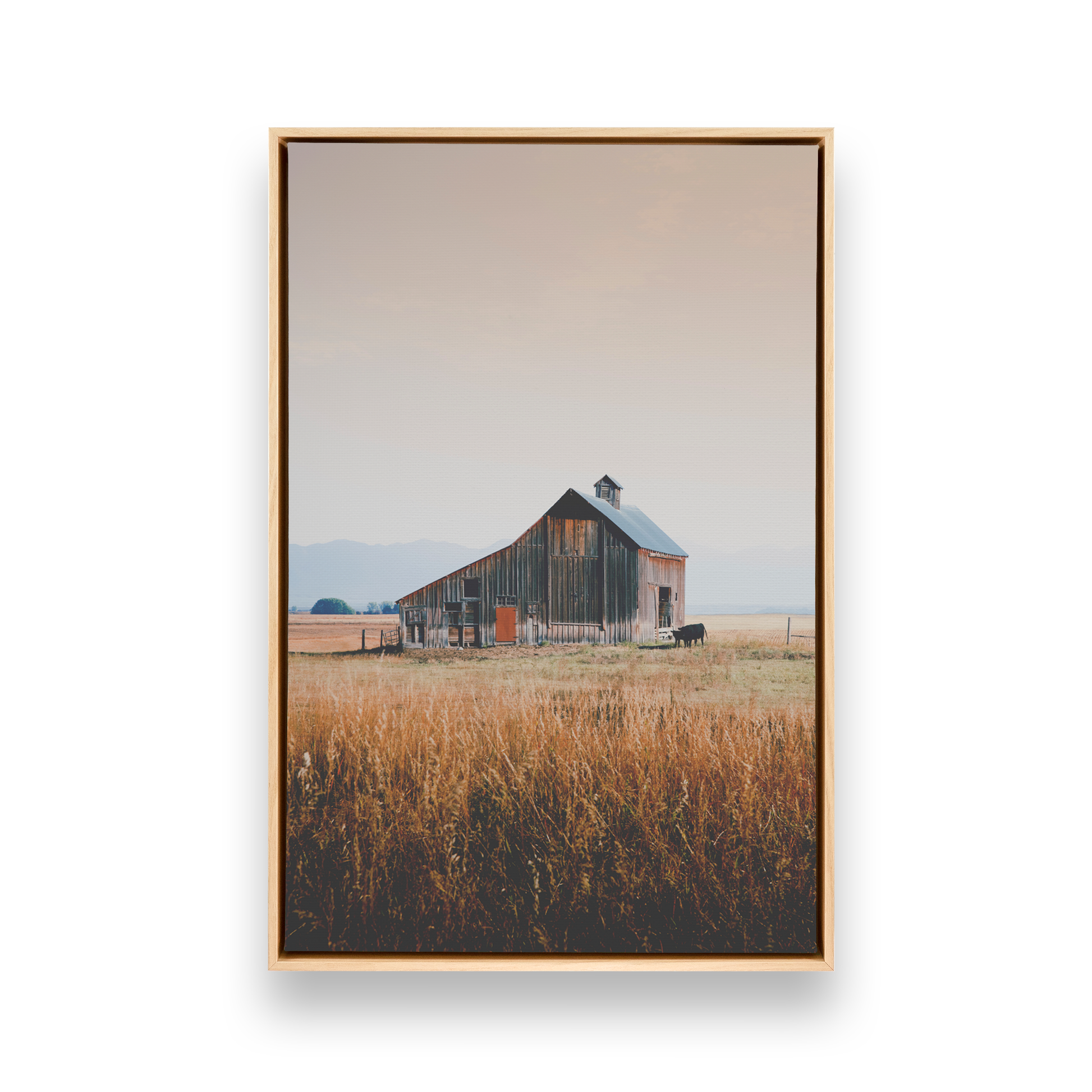 [color:American Maple], Picture of art in a black frame