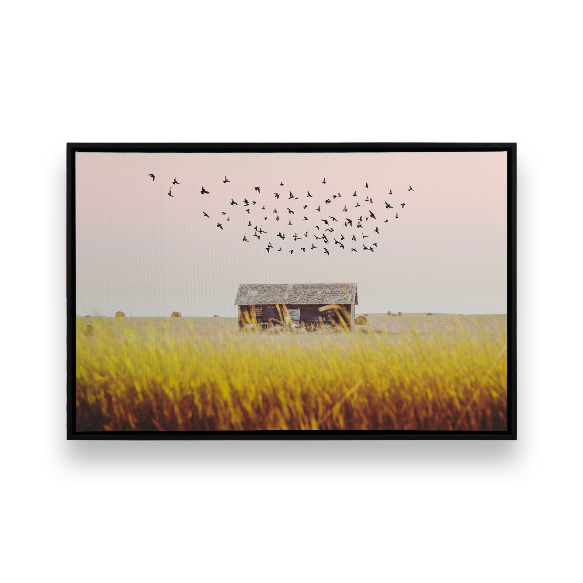 harvest season art piece on canvas in a black frame