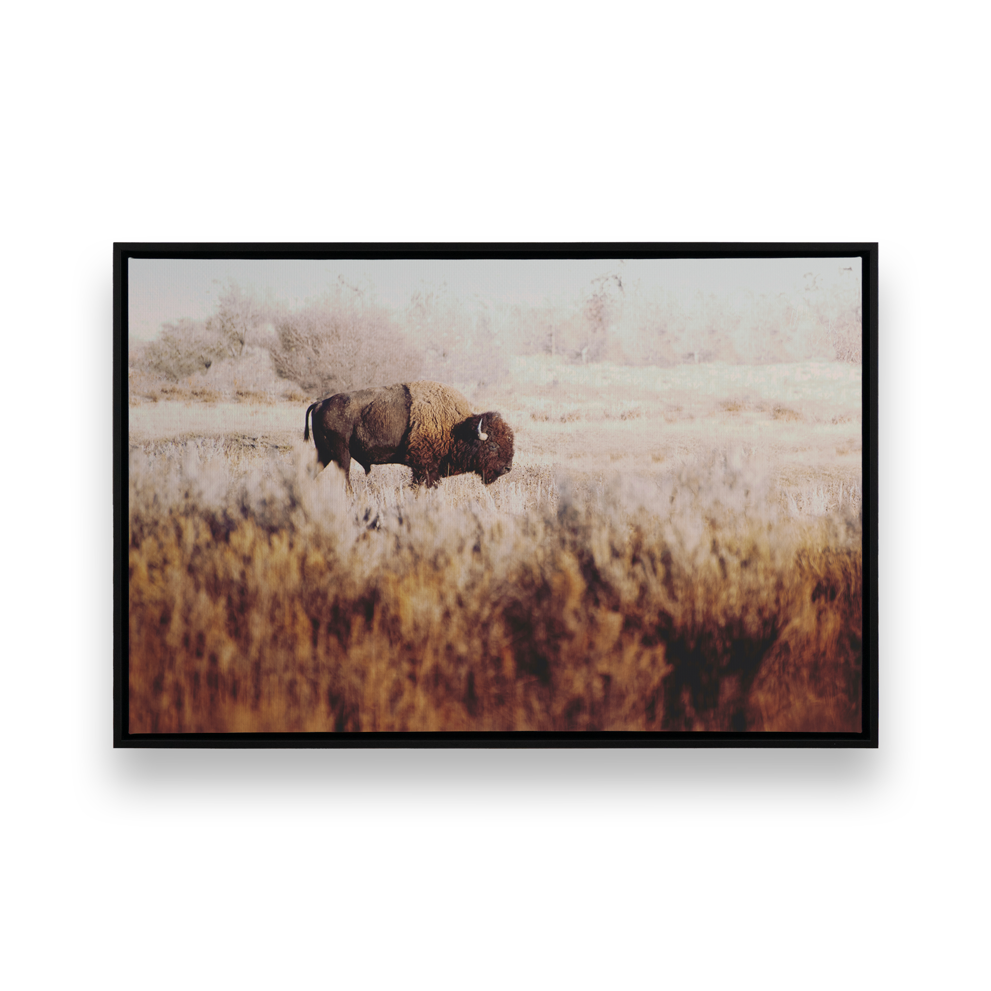 [Color:Satin Black],[SPECIAL], Front image of the art