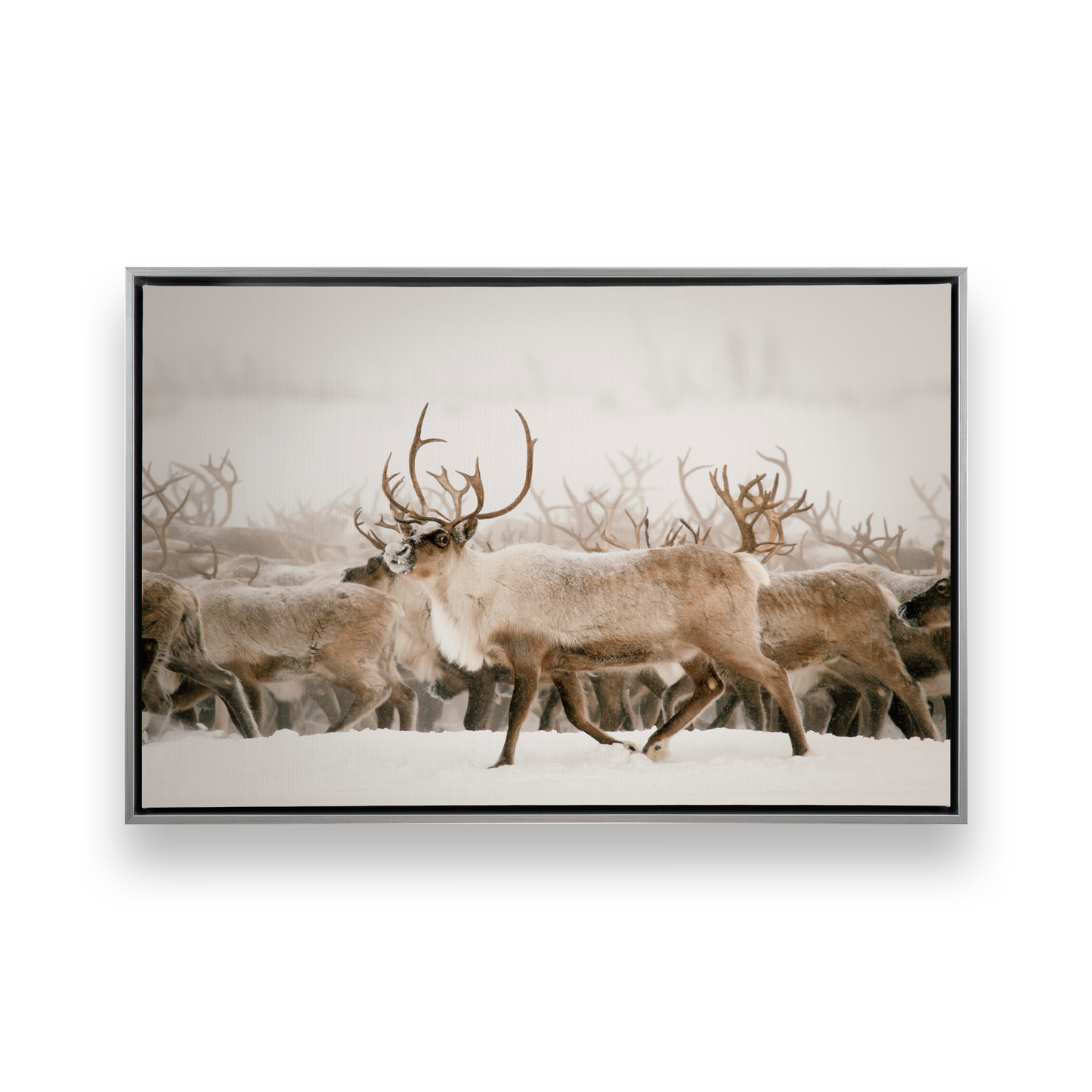 [color:Polished Chrome], Picture of art in a black frame