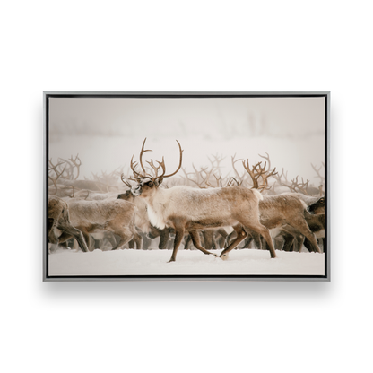 [color:Polished Chrome], Picture of art in a black frame