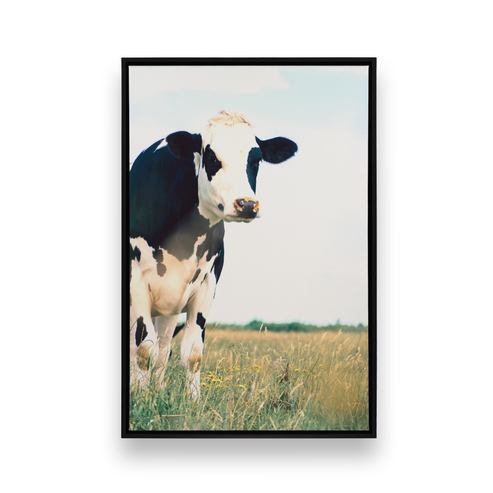 a monochrome encounter on canvas art of black and white cow in a field