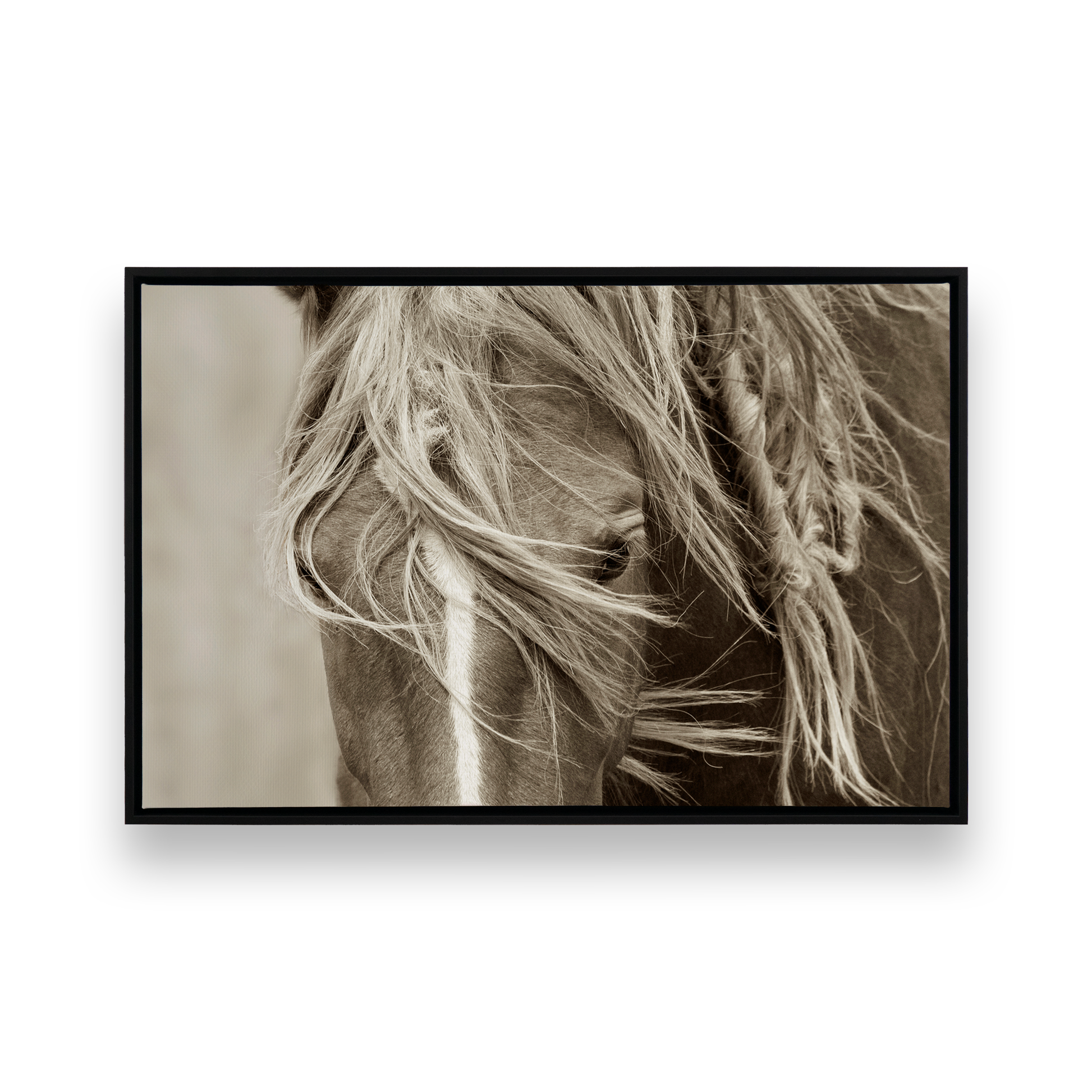 [Color:Satin Black],[SPECIAL], Front image of the art