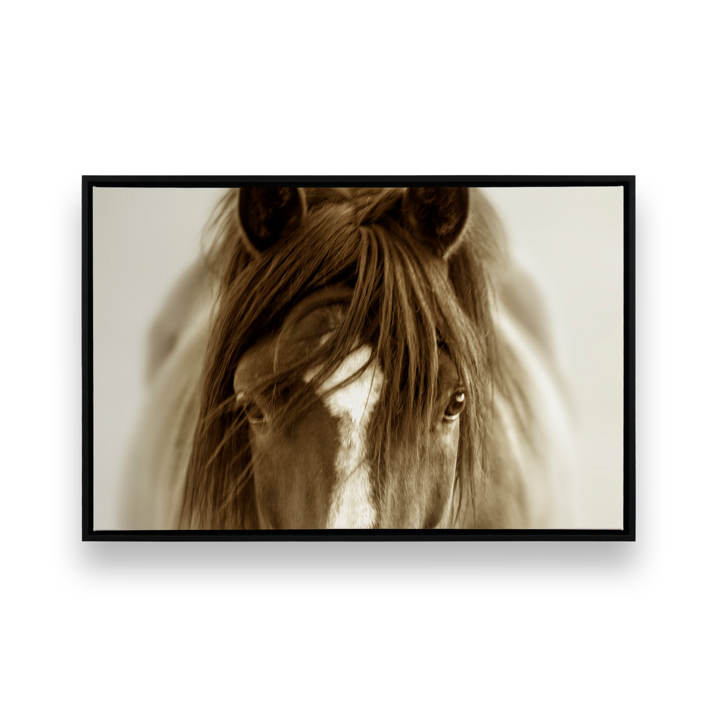 [color:Satin Black], Picture of art in a black frame