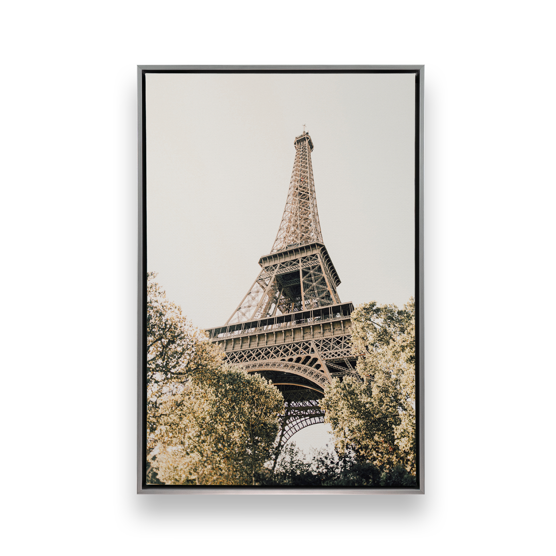 [color:Polished Chrome], Picture of art in a black frame