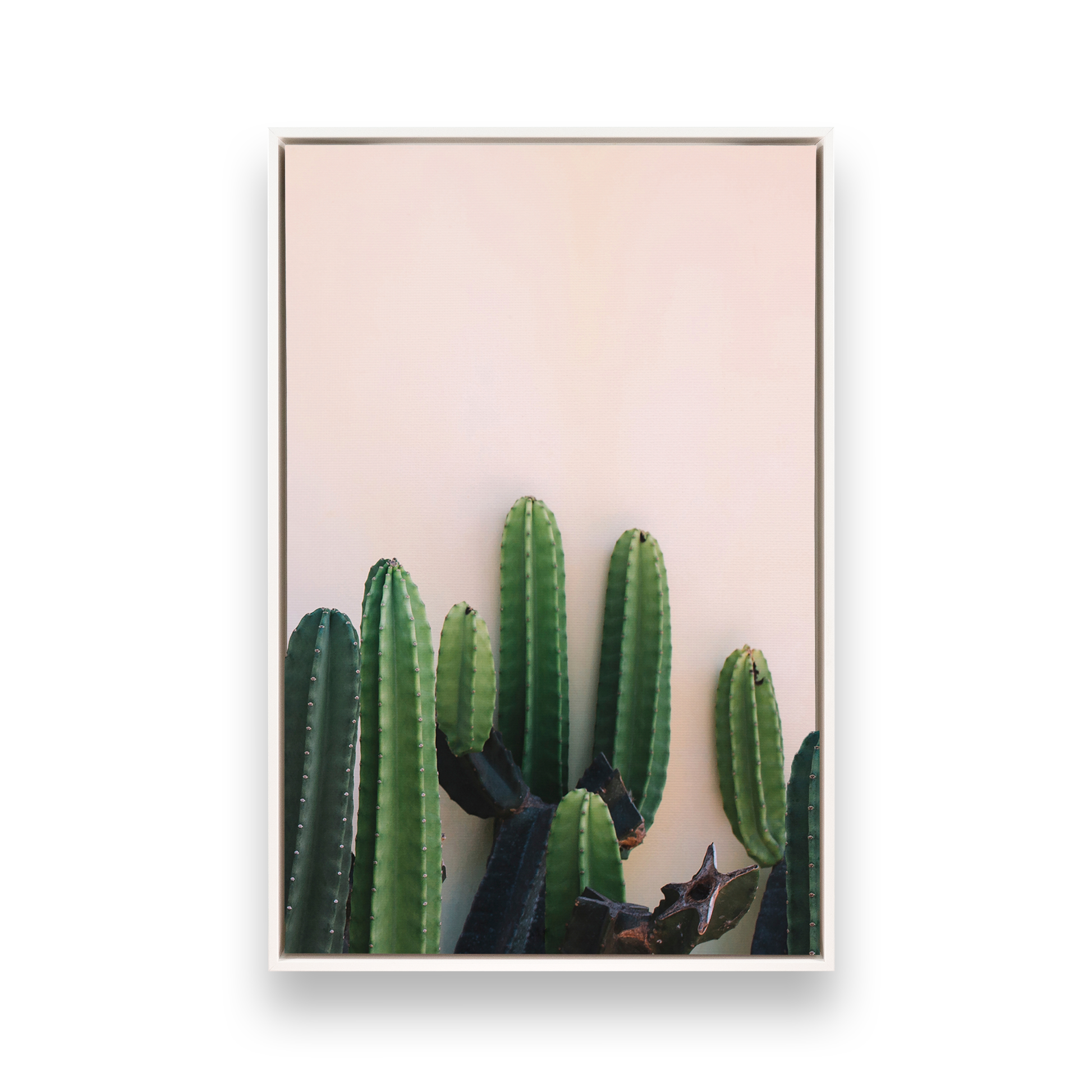 [color:Satin White], Picture of art in a black frame