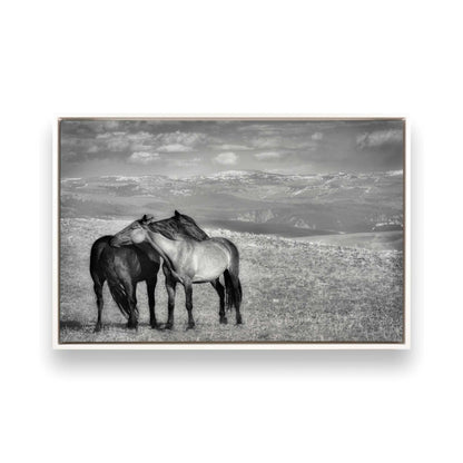 [Color:Opaque White], Picture of art in a White frame