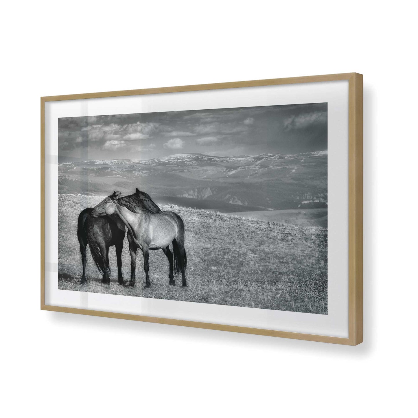 [Color:Brushed Gold], Picture of art in a Brushed Gold frame of the corner