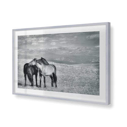 [Color:Polished Chrome], Picture of art in a Polished Chrome frame of the corner