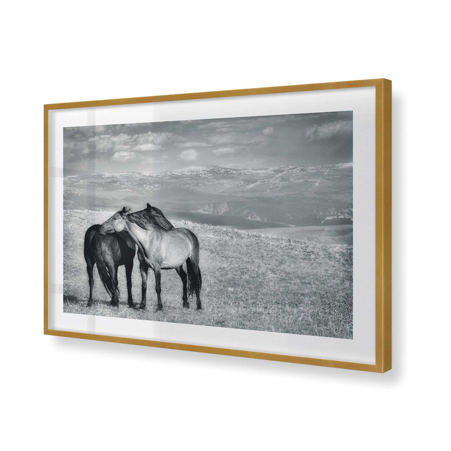 [Color:Polished Gold], Picture of art in a Polished Gold frame of the corner