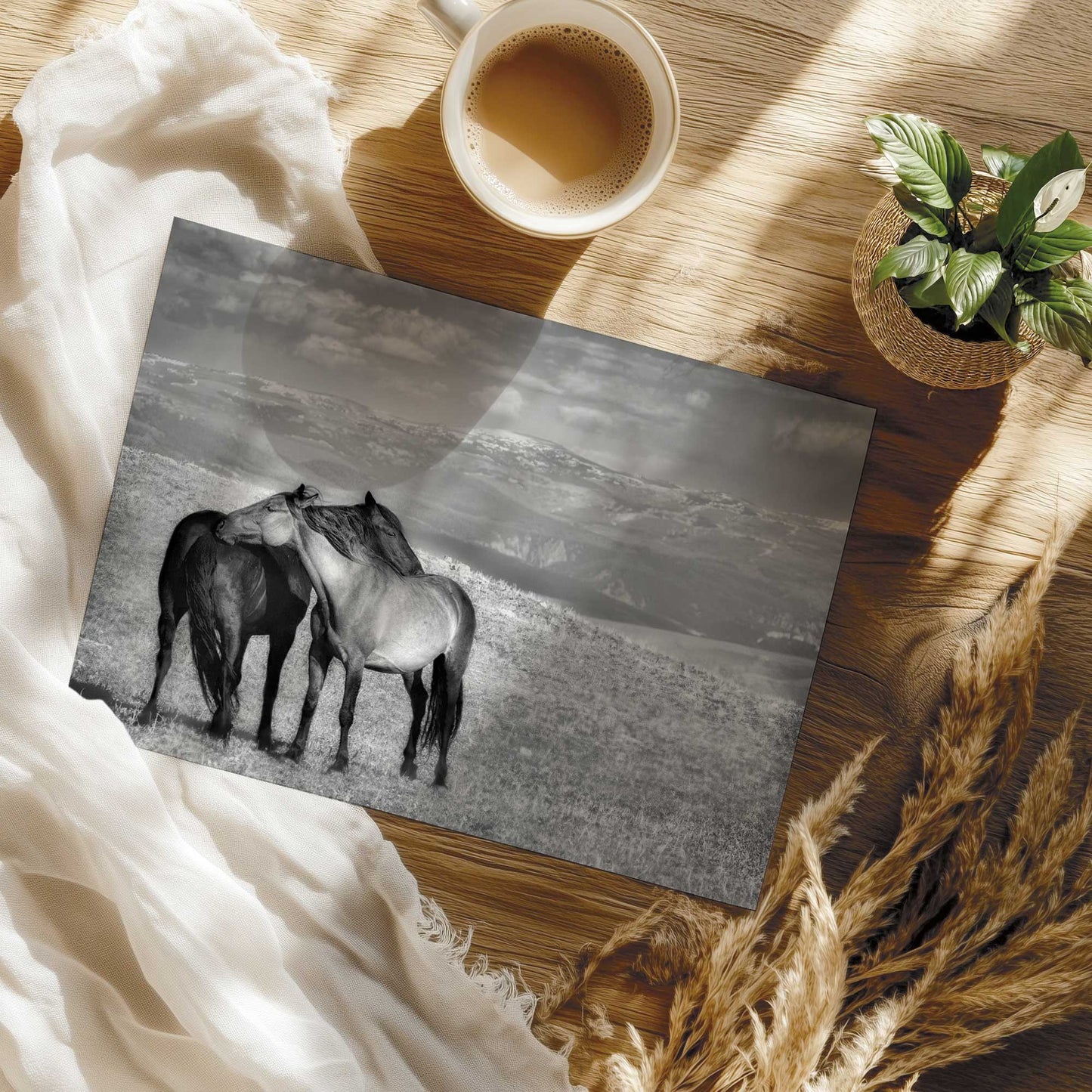 Equine Companionship Print