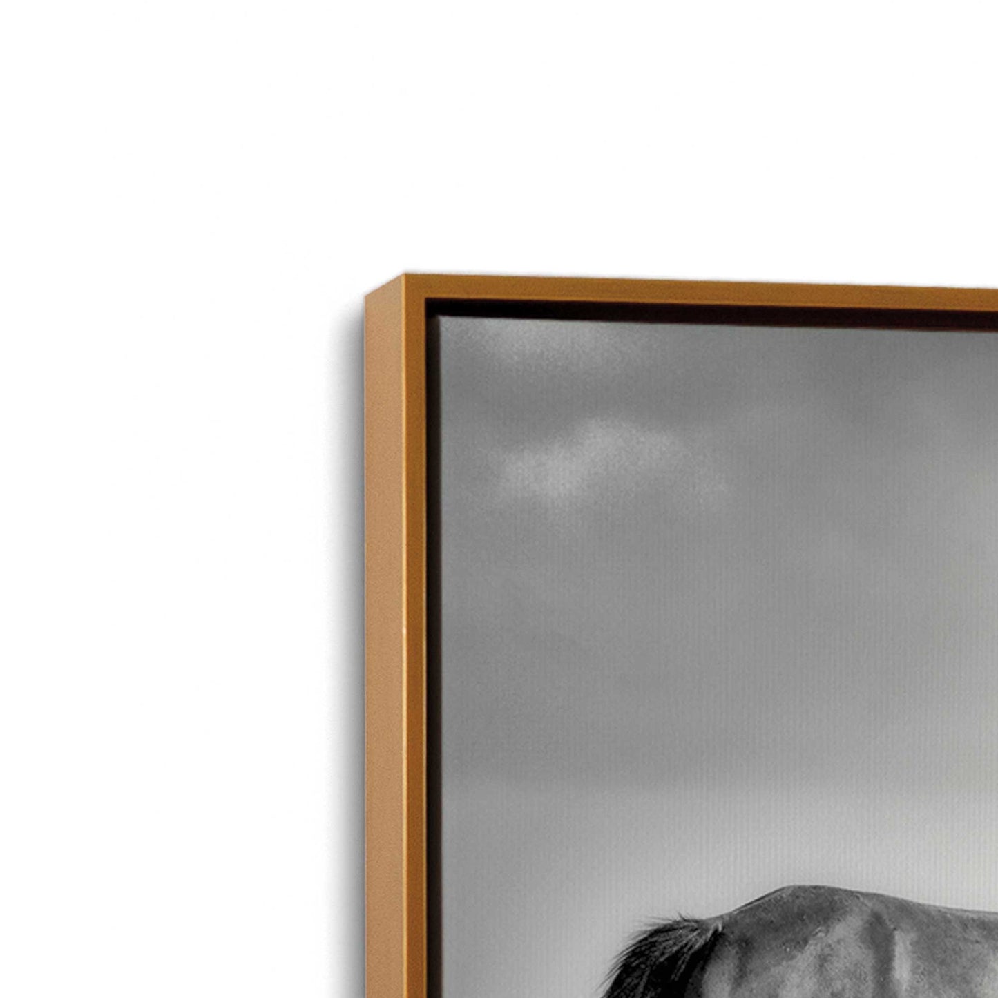 [Color:Polished Gold], Picture of art in a Polished Gold frame at an angle