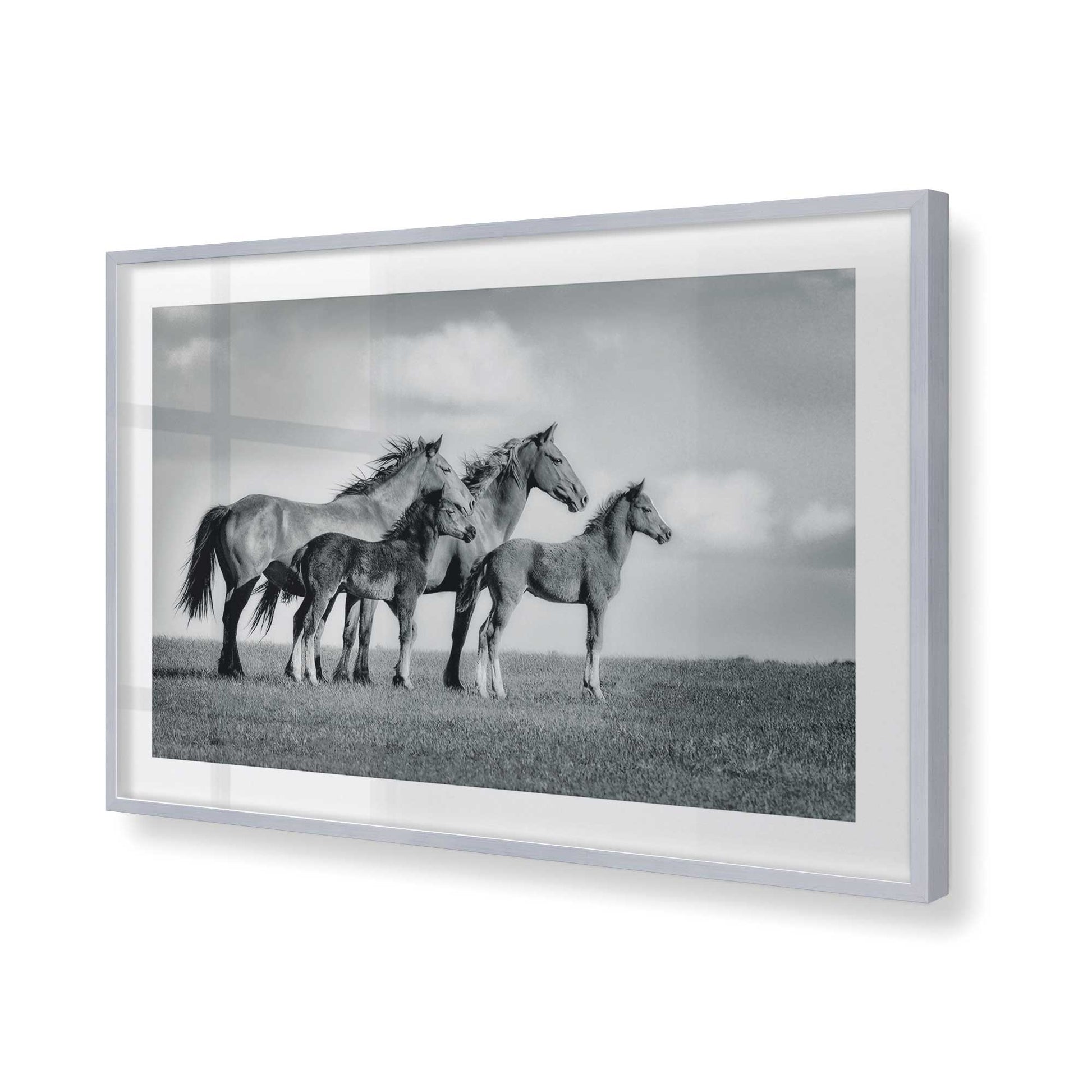 [Color:Polished Chrome], Picture of art in a Polished Chrome frame of the corner