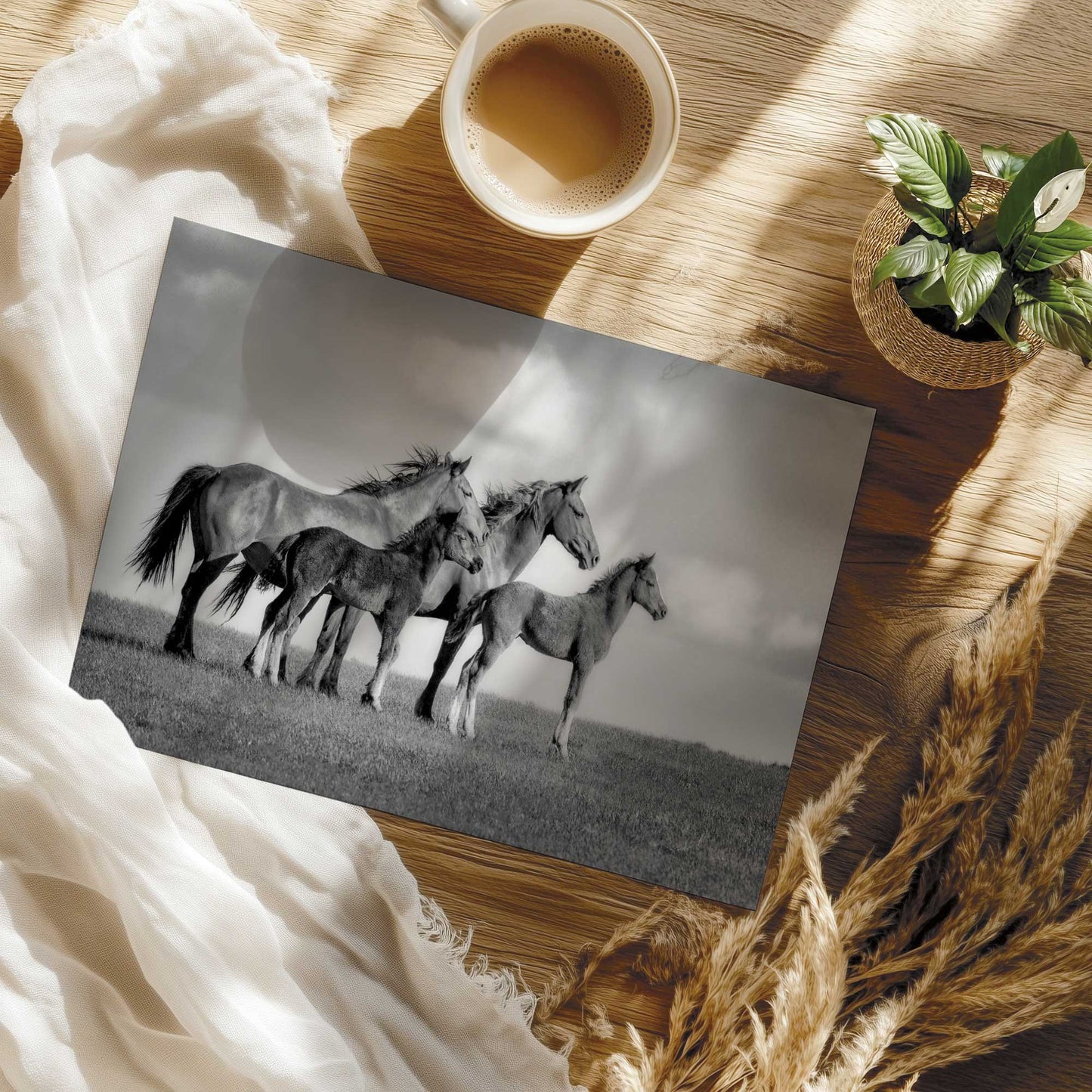 Family of Wild Horses Print