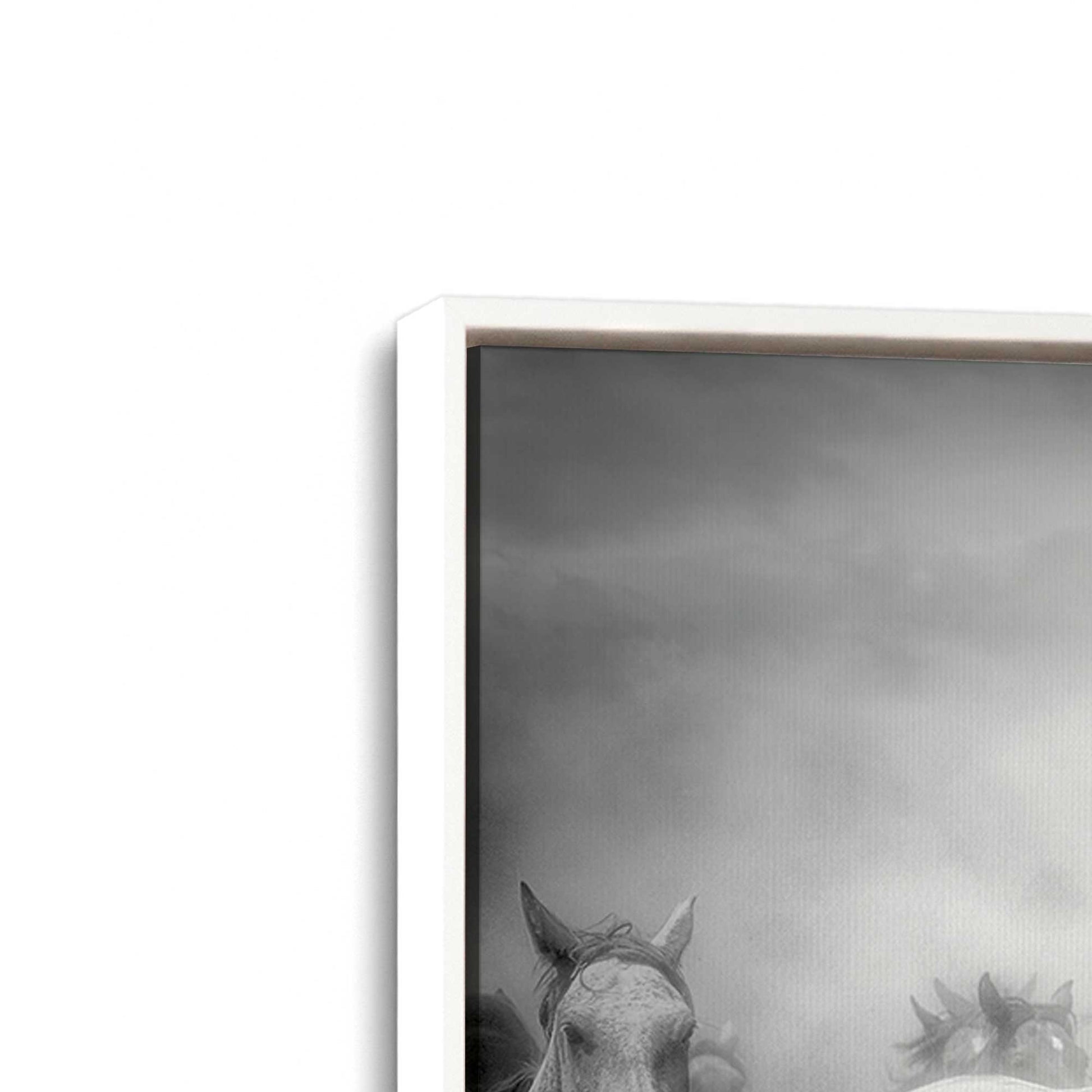 [Color:Opaque White], Picture of art in a White frame at an angle