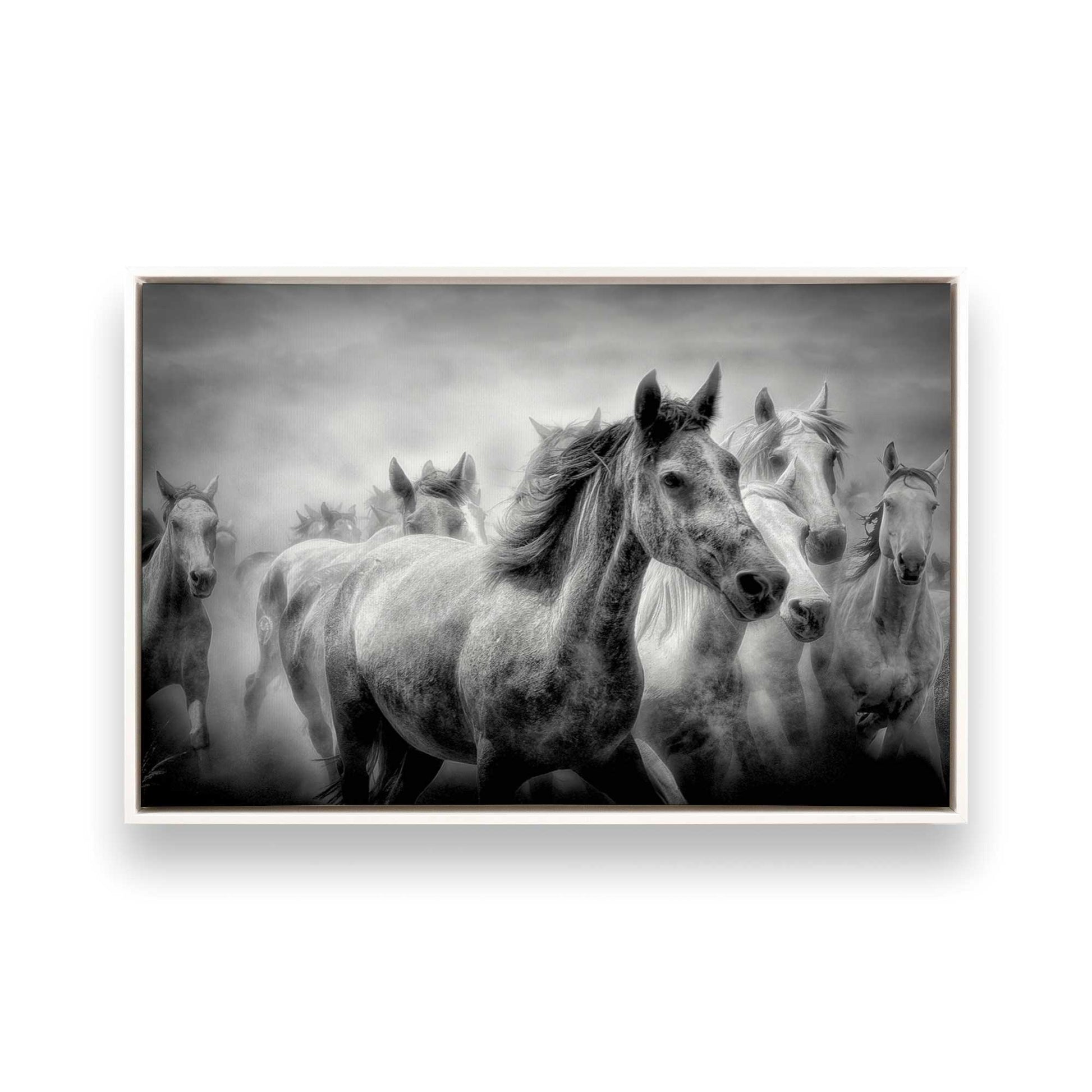 [Color:Opaque White], Picture of art in a White frame