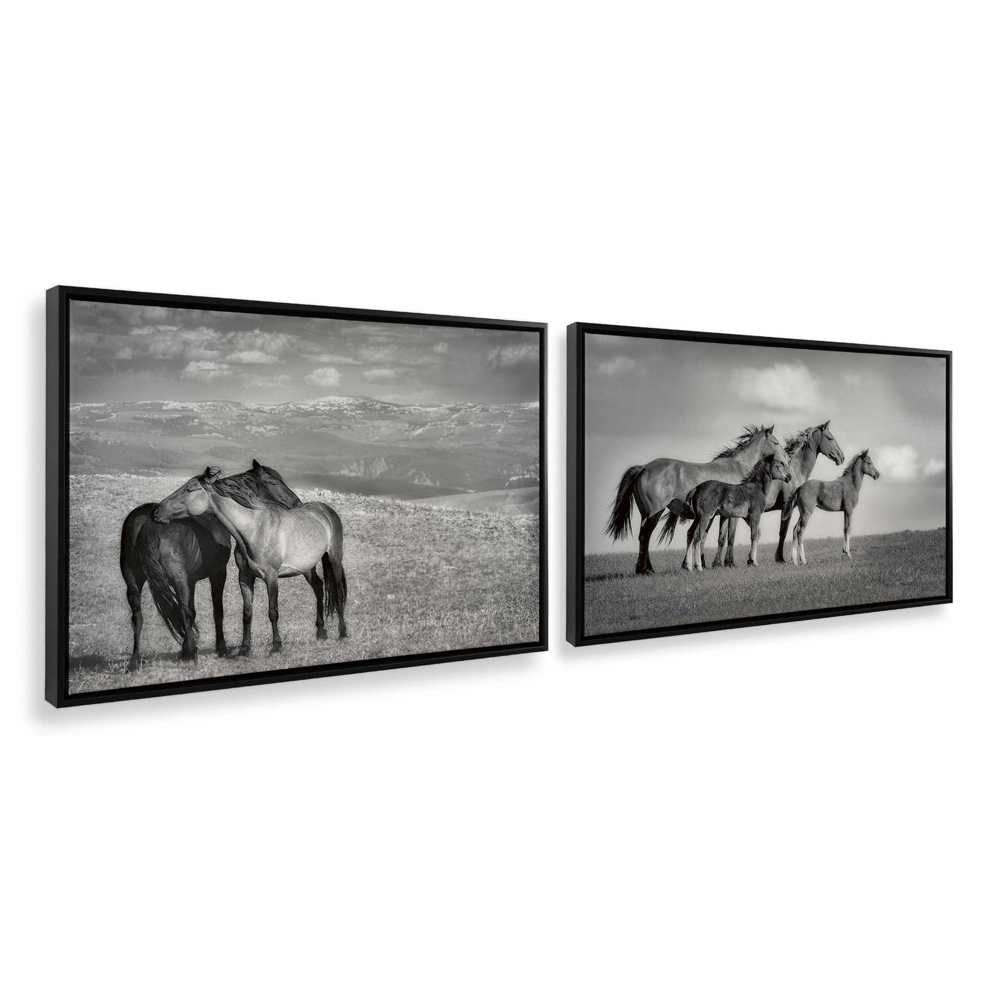 [Color:Satin Black], Picture of art in a Satin Black frame at an angle