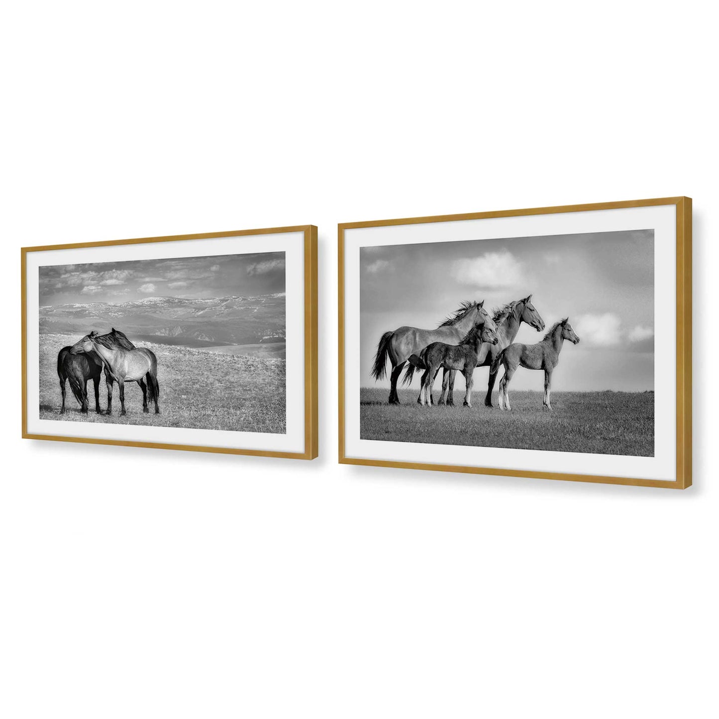 [Color:Polished Gold], Picture of art in a Polished Gold frame at an angle