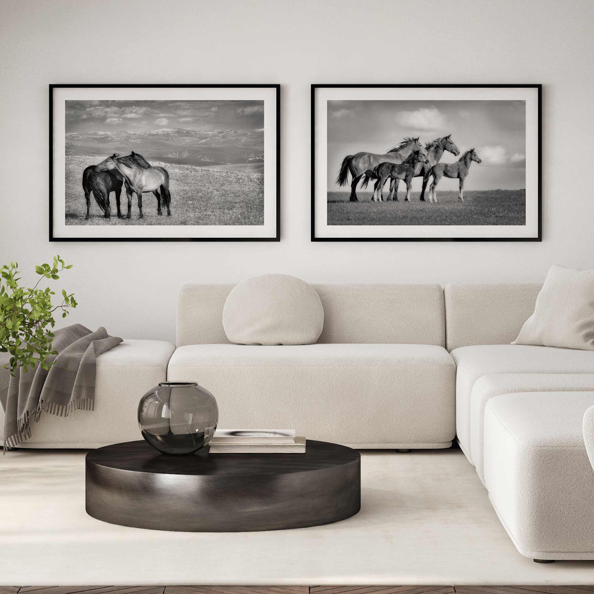 Free spirits set of 2 black and white horse photos hanging above couch