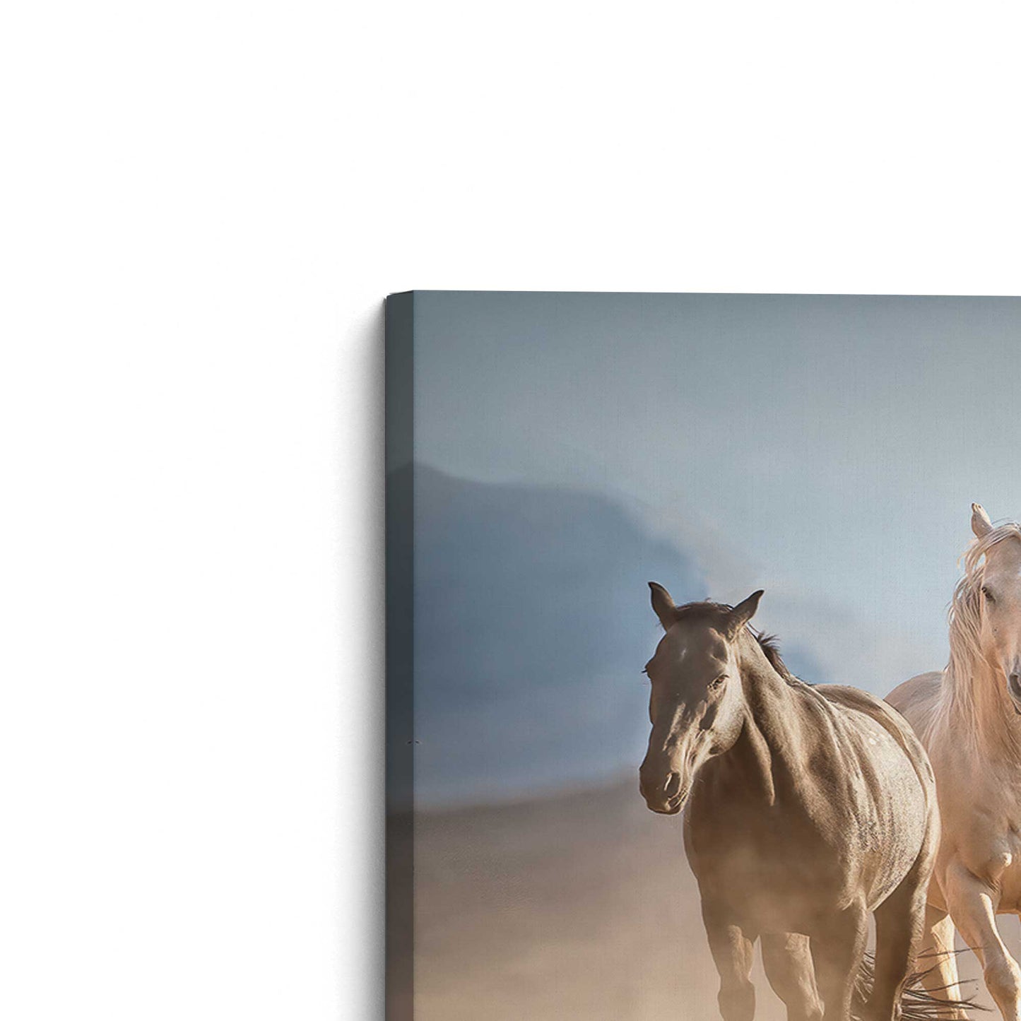 [Color:Stretched Canvas], Picture of the corner of the art