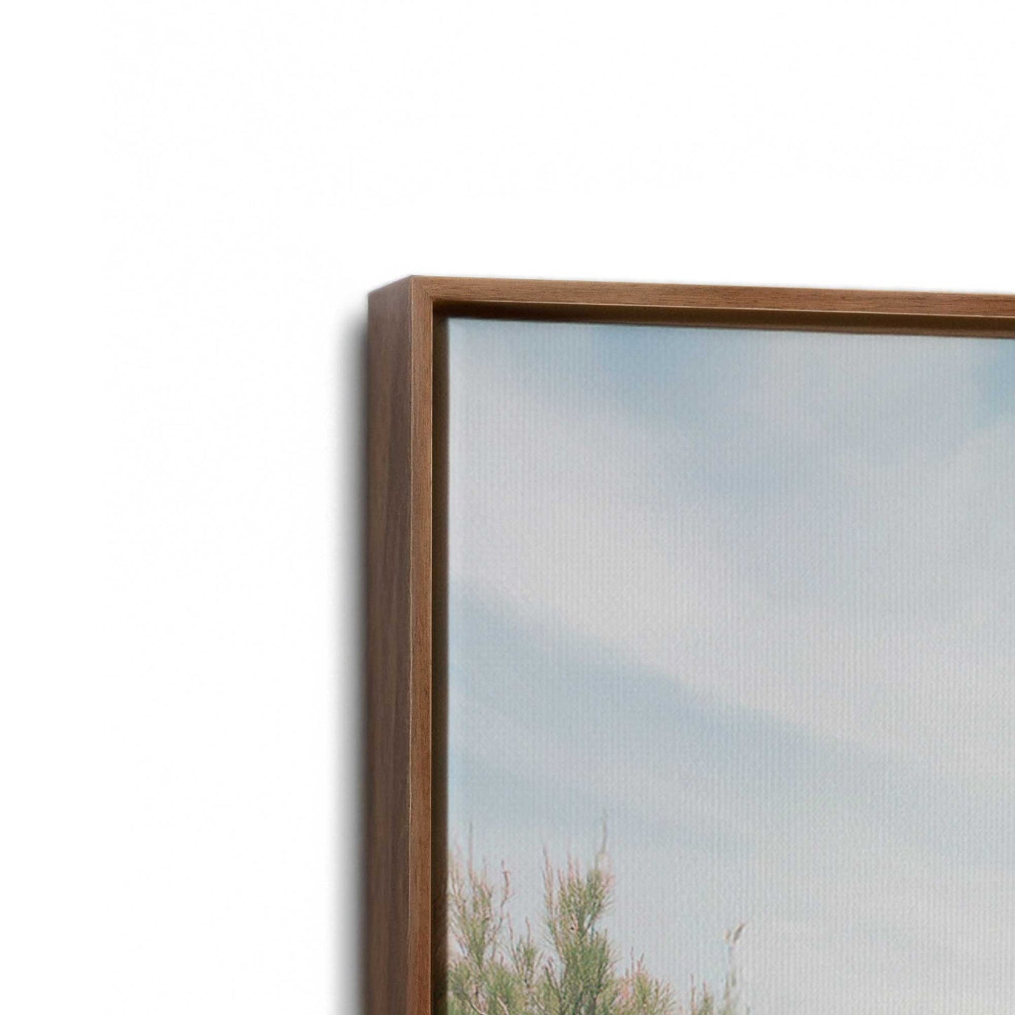 [Color:Walnut], Picture of art in a Walnut frame at an angle