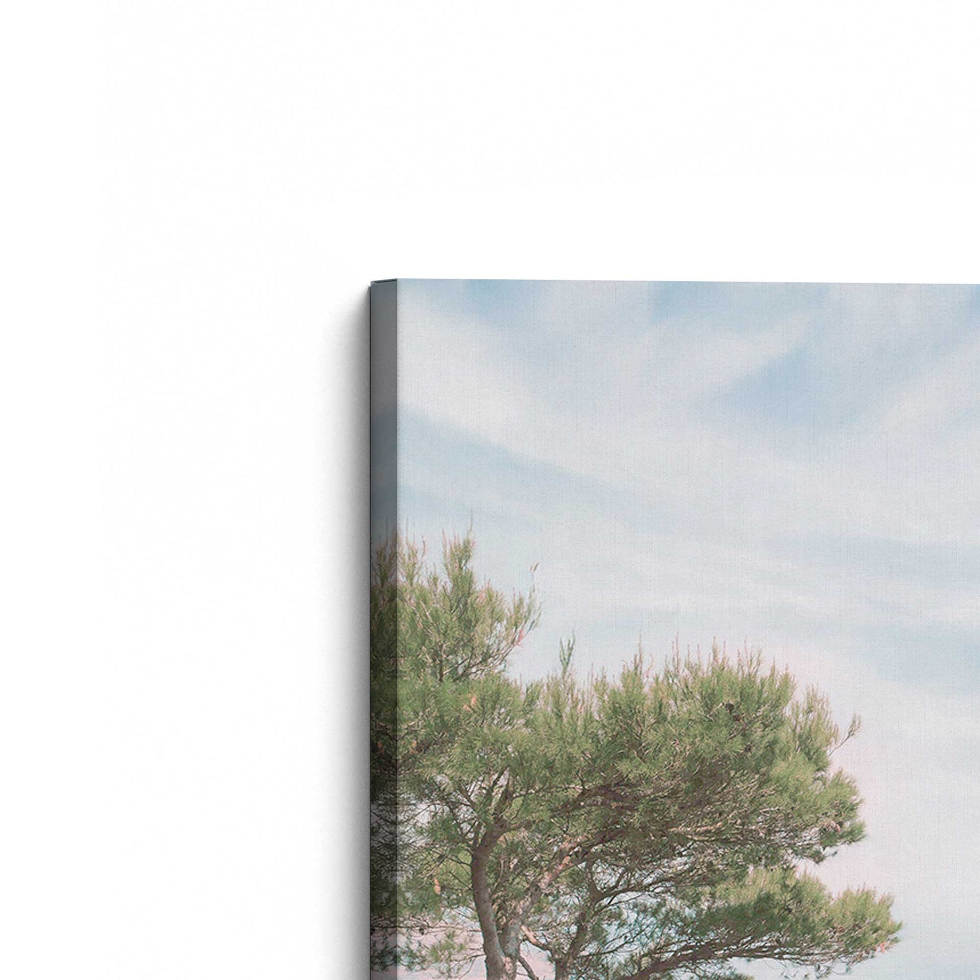 [Color:Stretched Canvas], Picture of the corner of the art