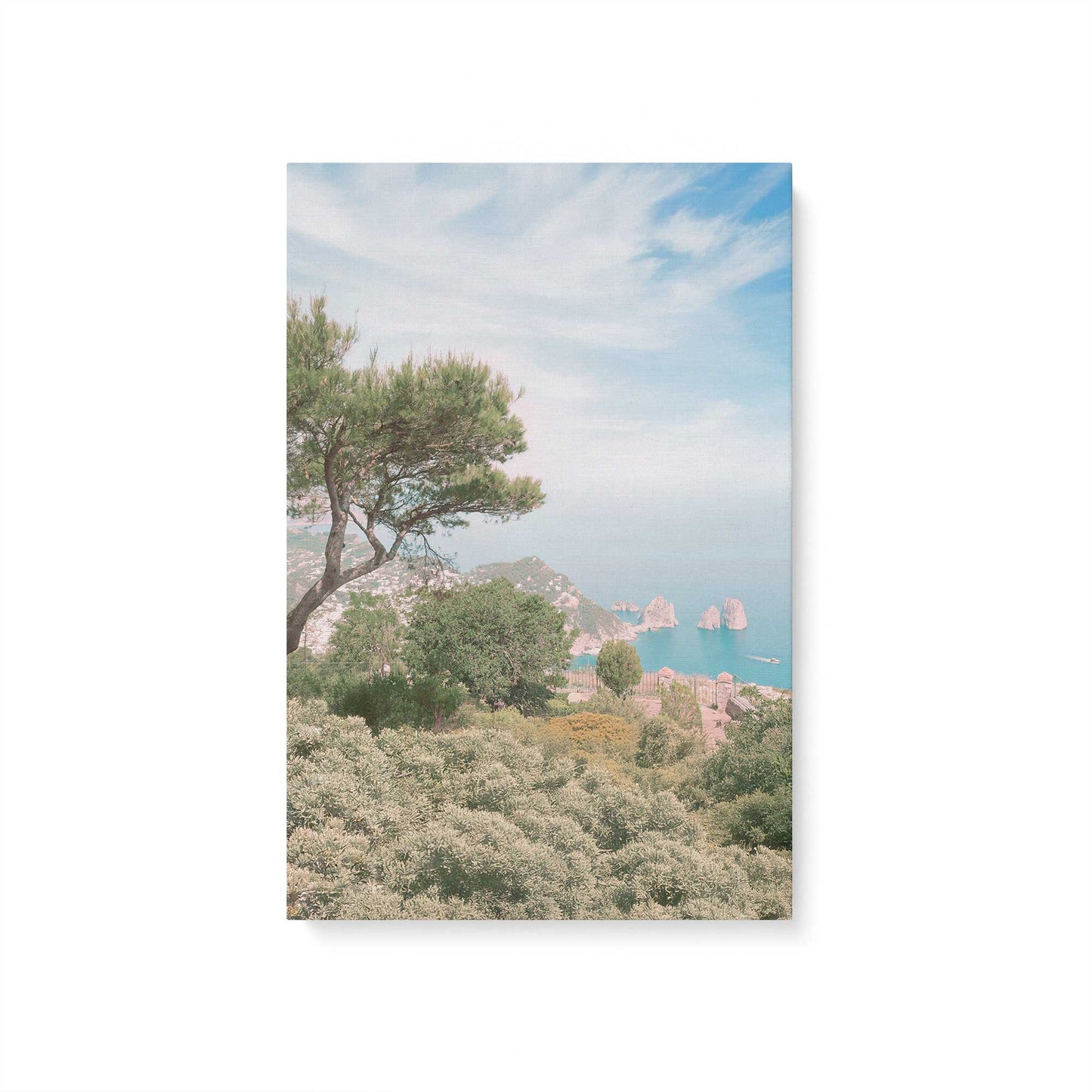 [Color:Stretched Canvas], Picture of art