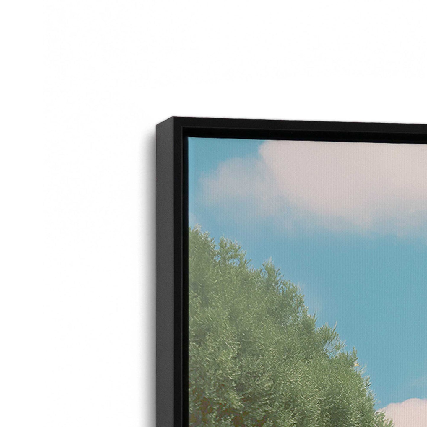 [Color:Satin Black], Picture of art in a Satin Black frame at an angle