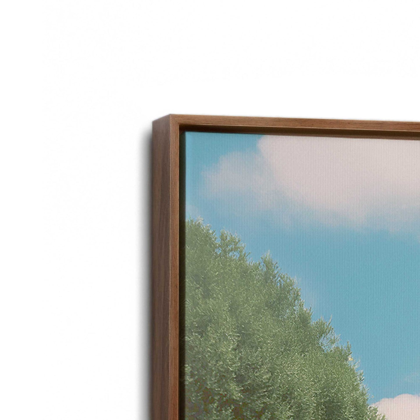 [Color:Walnut], Picture of art in a Walnut frame at an angle