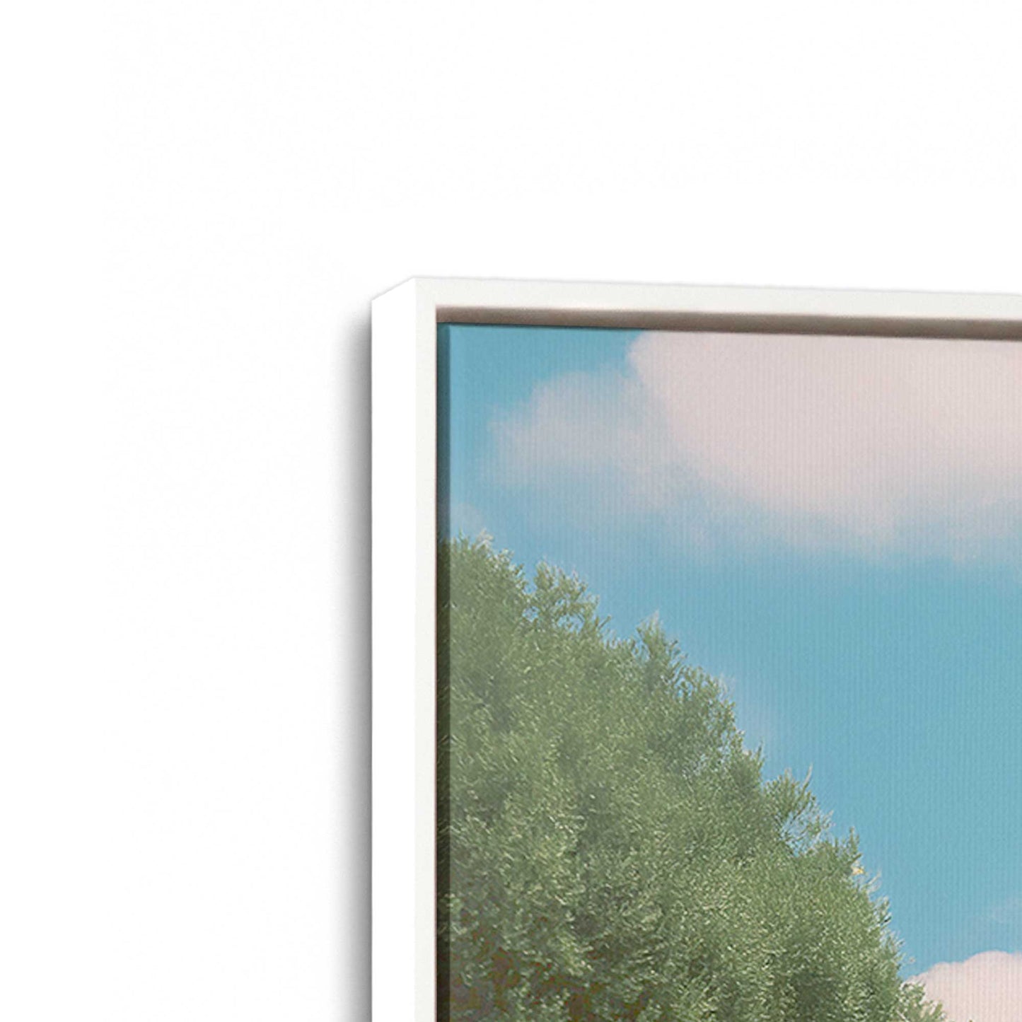[Color:Opaque White], Picture of art in a White frame at an angle
