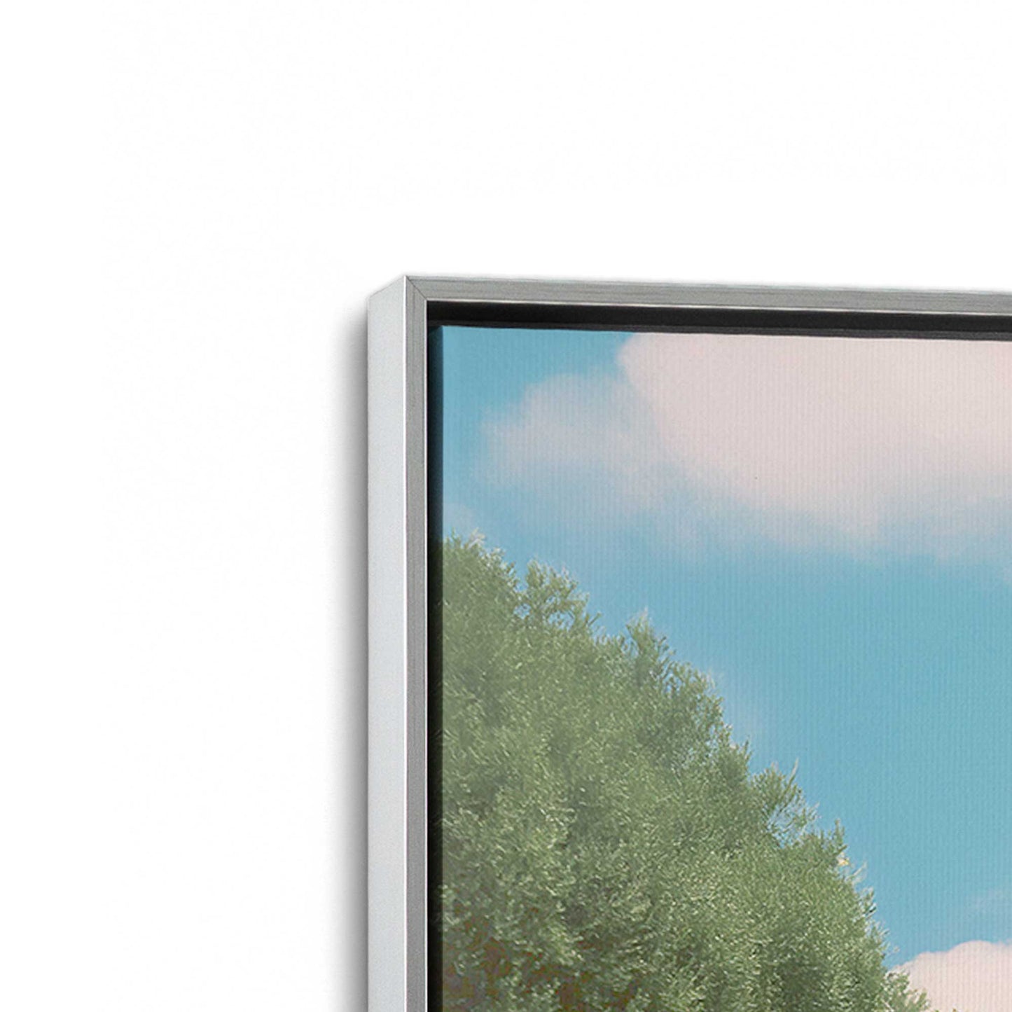 [Color:Polished Chrome], Picture of art in a Polished Chrome frame at an angle