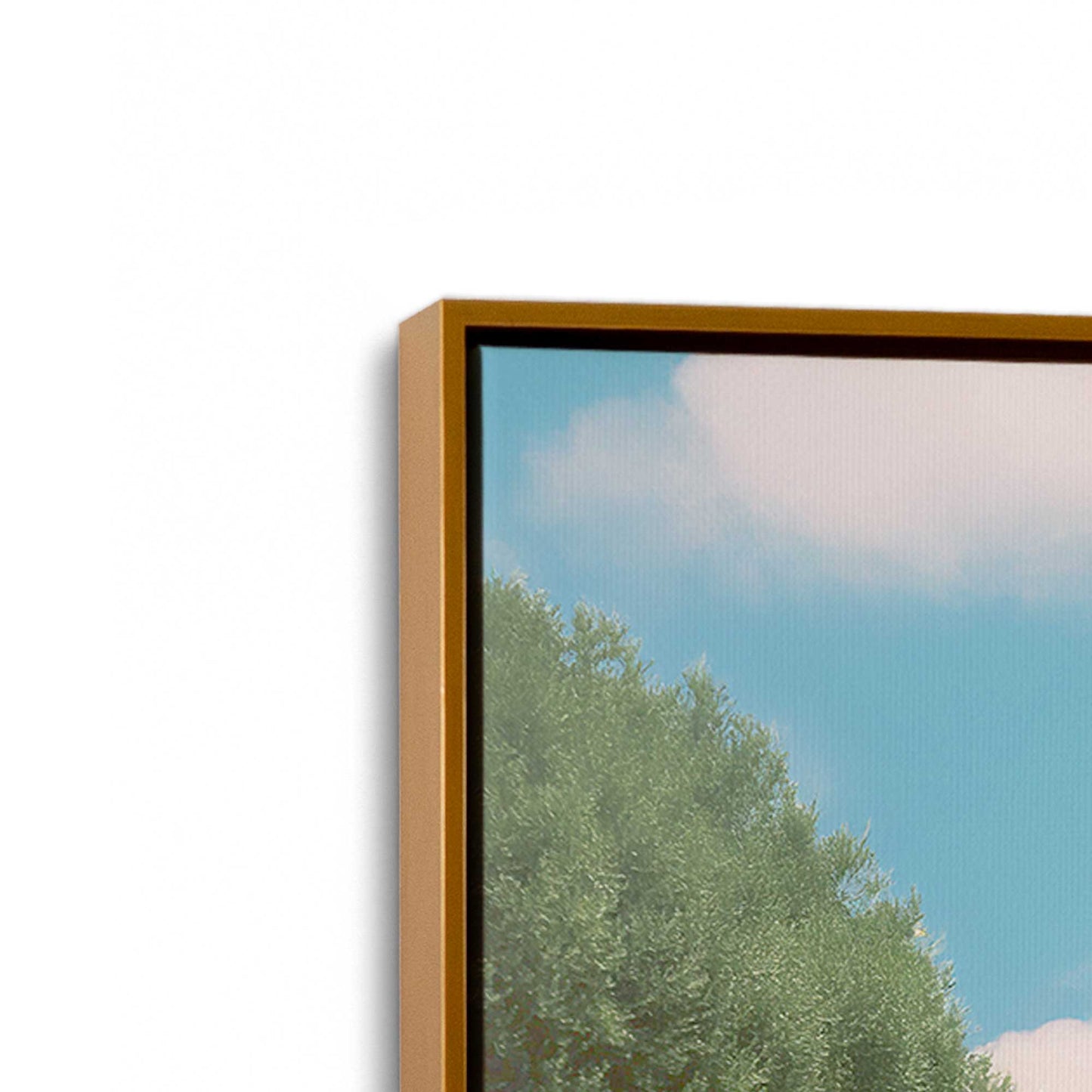 [Color:Polished Gold], Picture of art in a Polished Gold frame at an angle