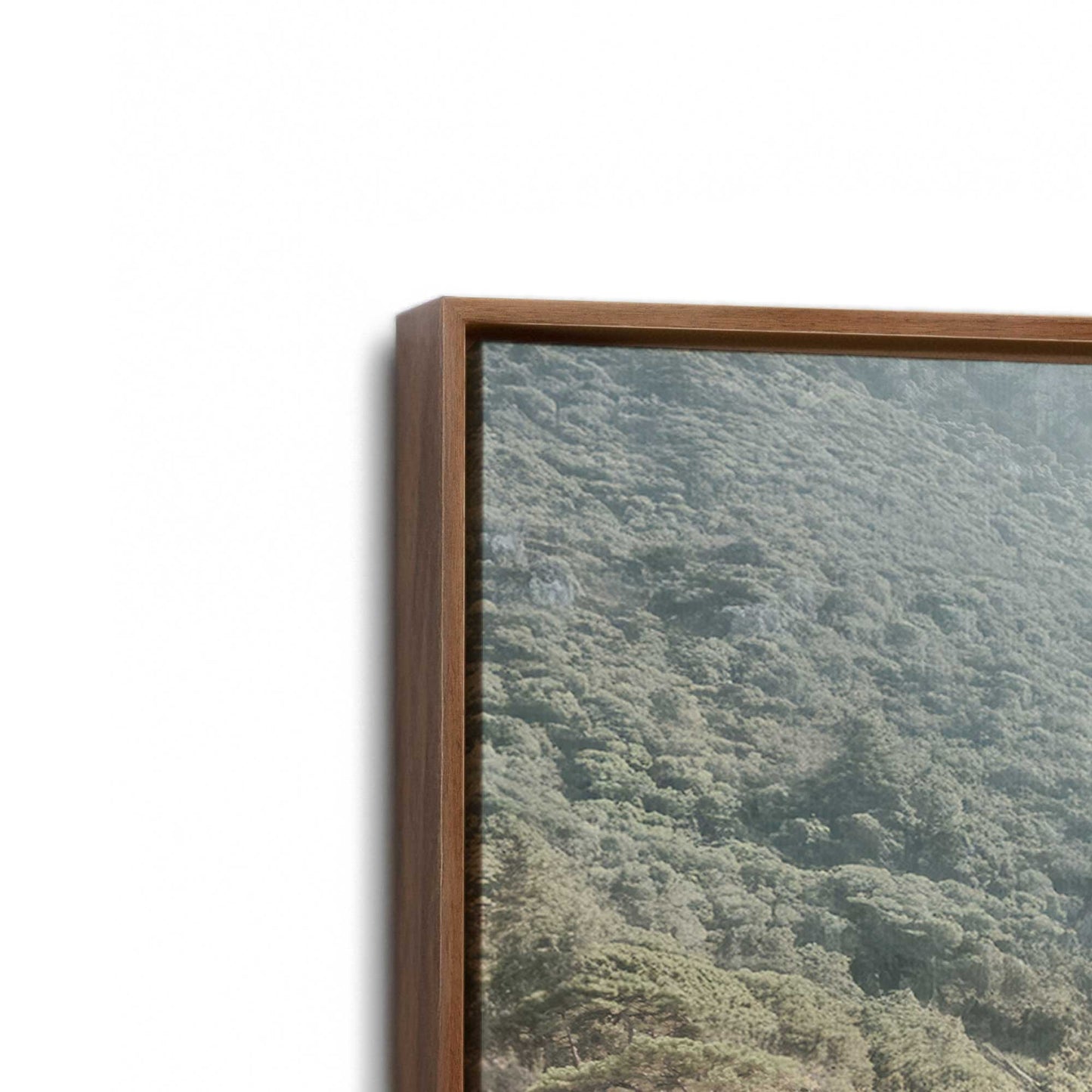 [Color:Walnut], Picture of art in a Walnut frame at an angle