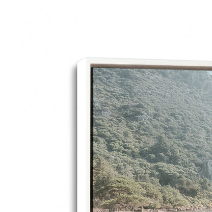 [Color:Opaque White], Picture of art in a White frame at an angle