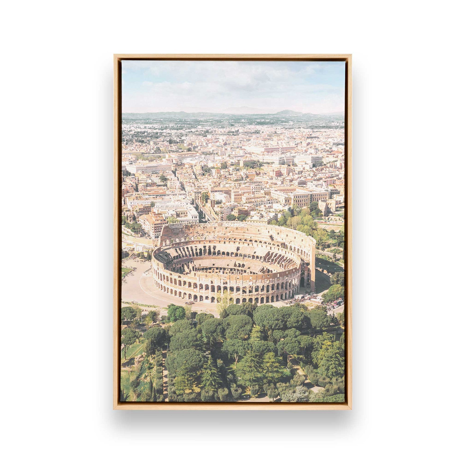 [Color:American Maple], Picture of art in a American Maple frame