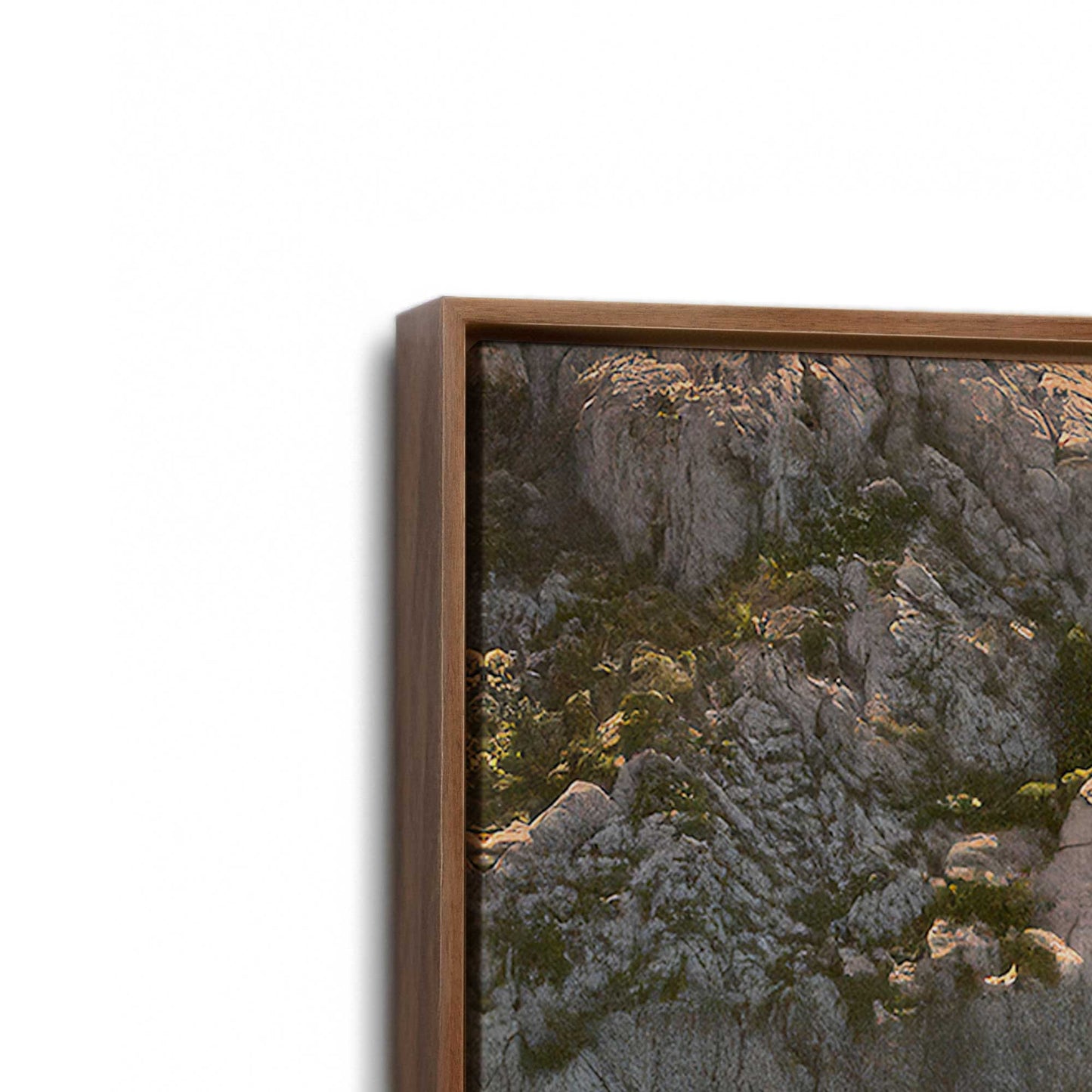 [Color:Walnut], Picture of art in a Walnut frame at an angle