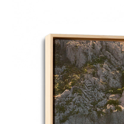 [Color:American Maple], Picture of art in a American Maple frame at an angle