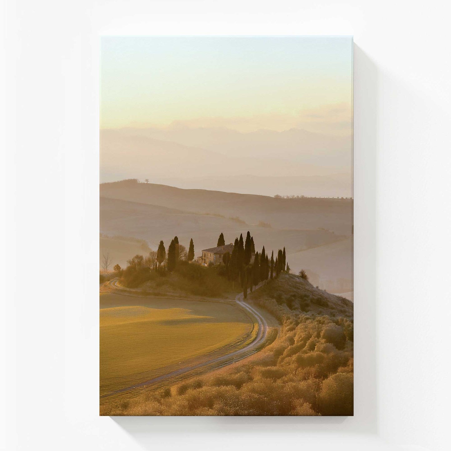[Color:Stretched Canvas], Picture of art