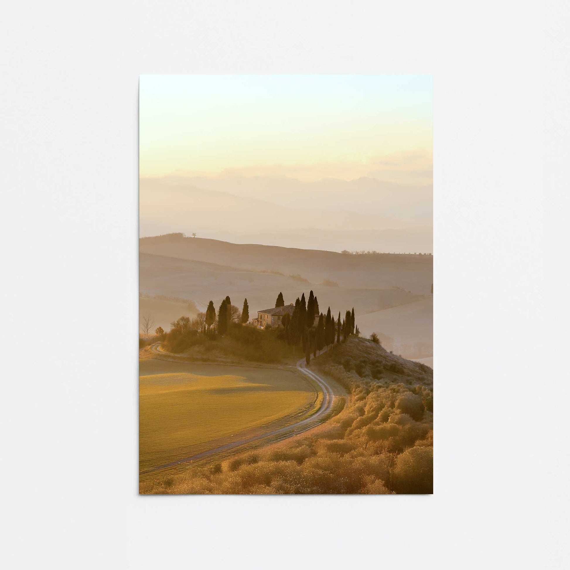 [Color:Rolled Print], Picture of close up of art