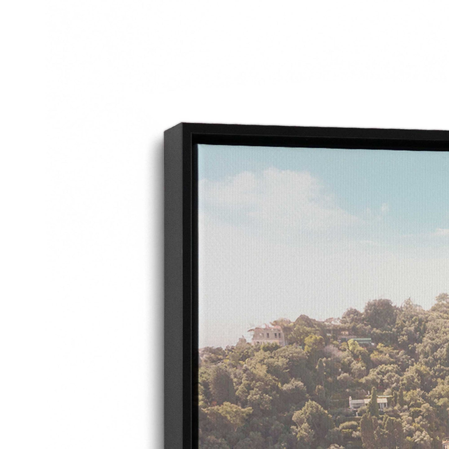 [Color:Satin Black], Picture of art in a Satin Black frame at an angle