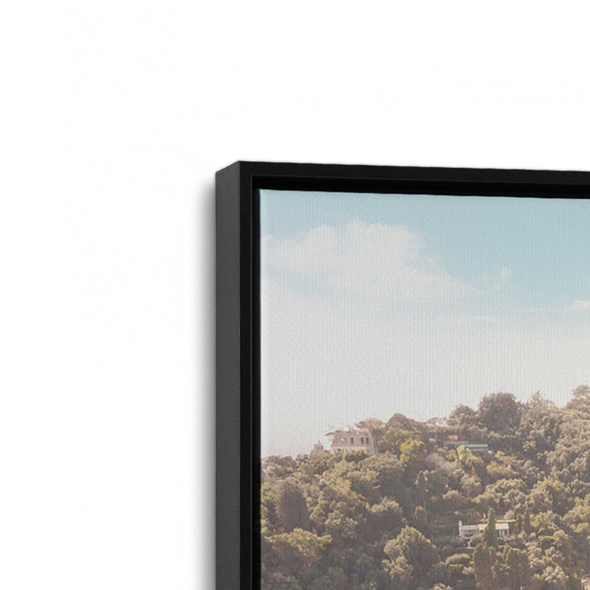 [Color:Satin Black], Picture of art in a Satin Black frame at an angle
