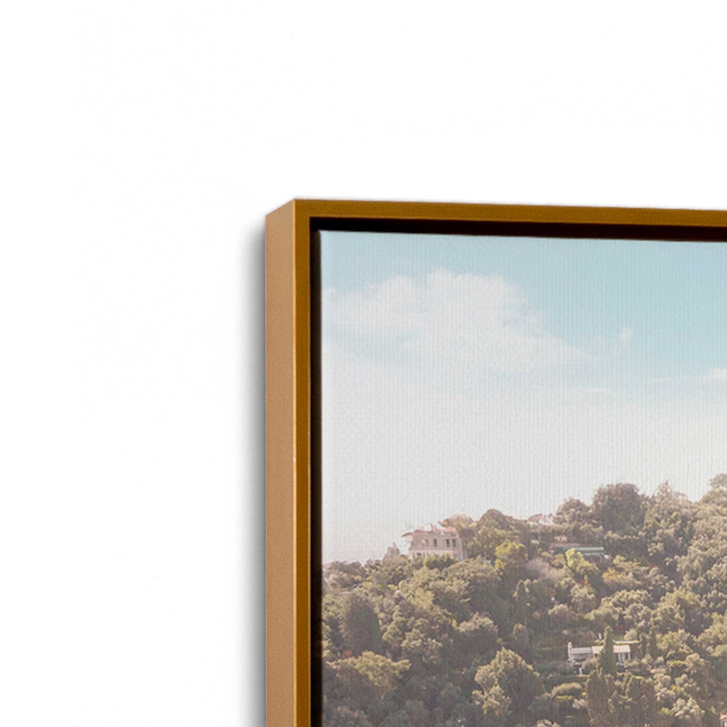 [Color:Polished Gold], Picture of art in a Polished Gold frame at an angle