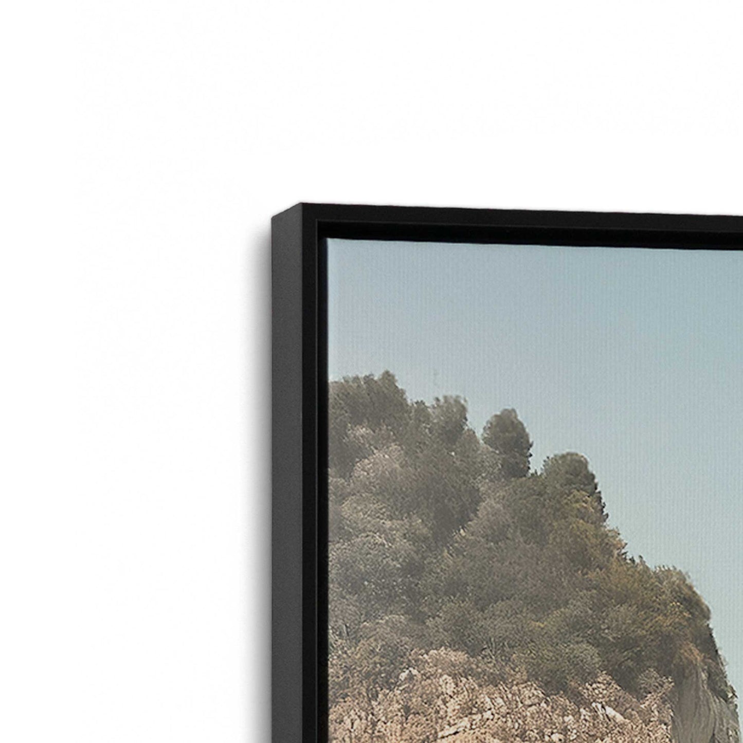 [Color:Satin Black], Picture of art in a Satin Black frame at an angle