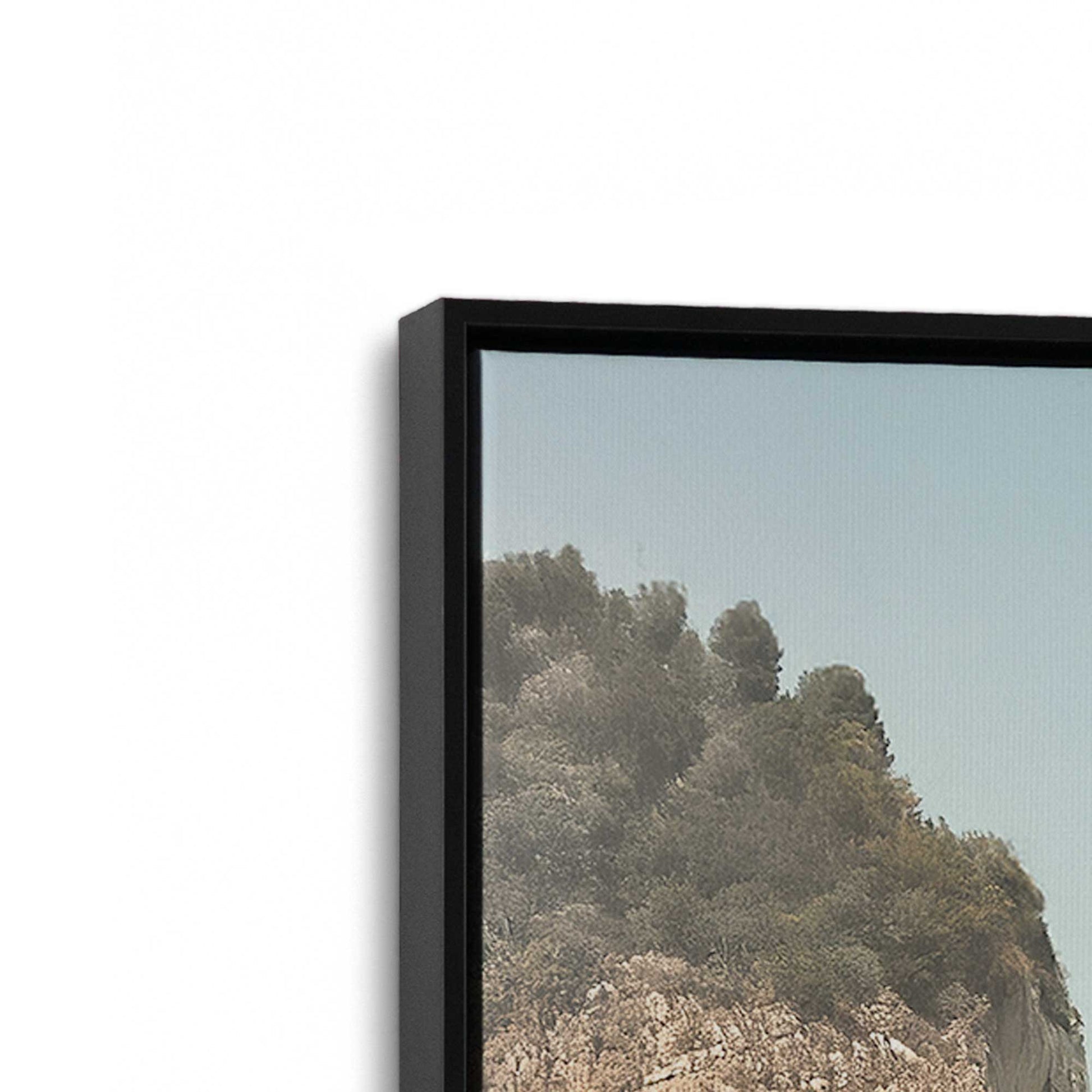 [Color:Satin Black], Picture of art in a Satin Black frame at an angle