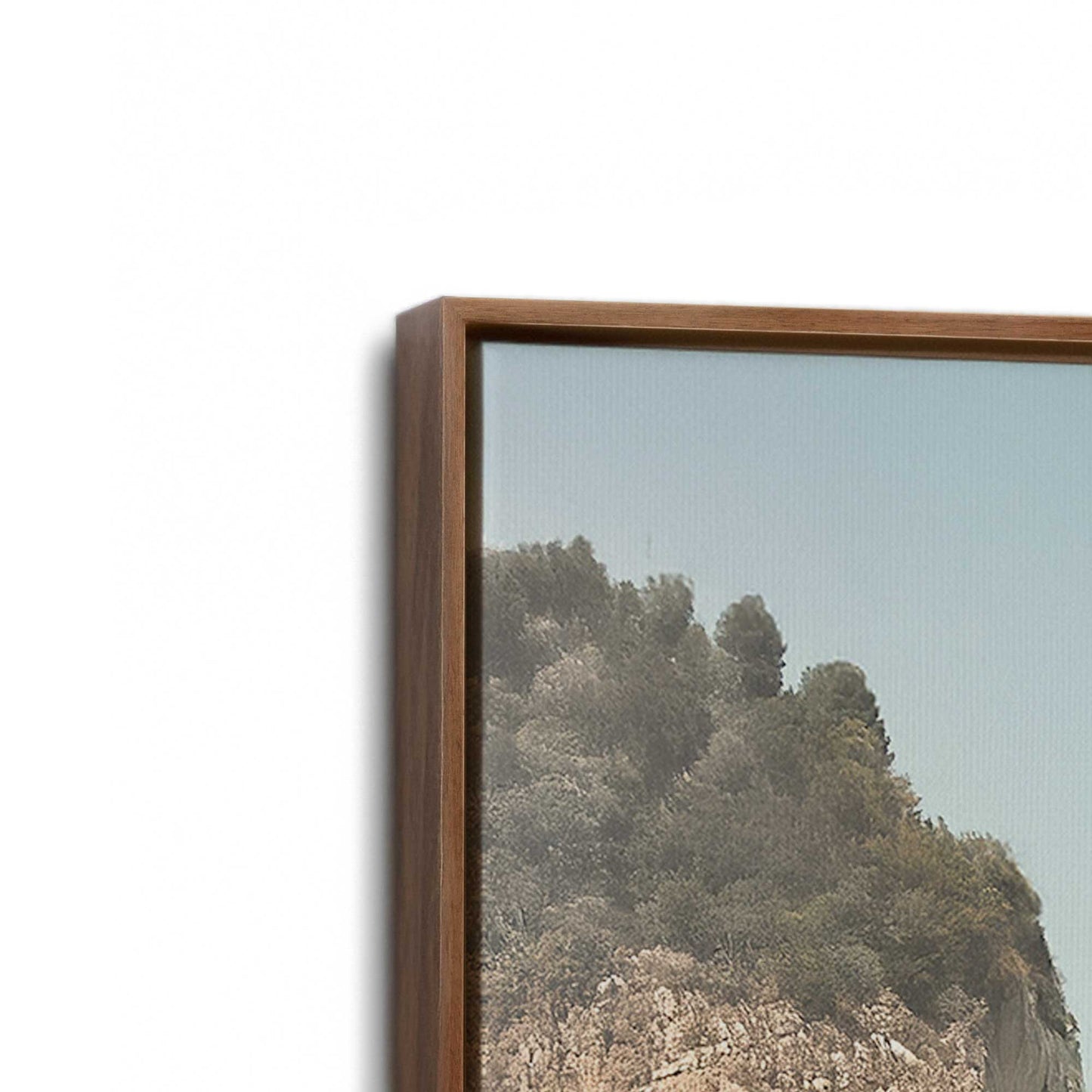 [Color:Walnut], Picture of art in a Walnut frame at an angle
