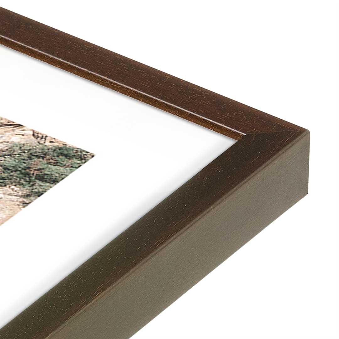 [Color:Belvinder Brown], Picture of art in a Belvinder Brown frame at an angle