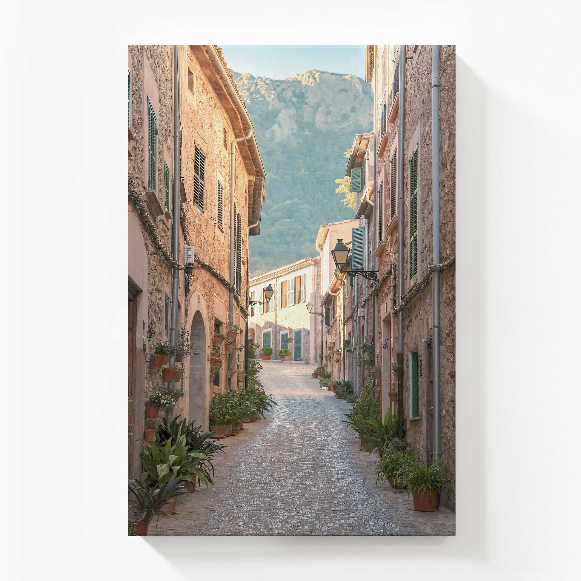 [Color:Stretched Canvas], Picture of art