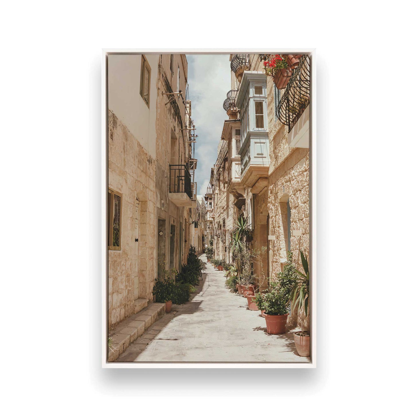 [Color:Opaque White], Picture of art in a White frame