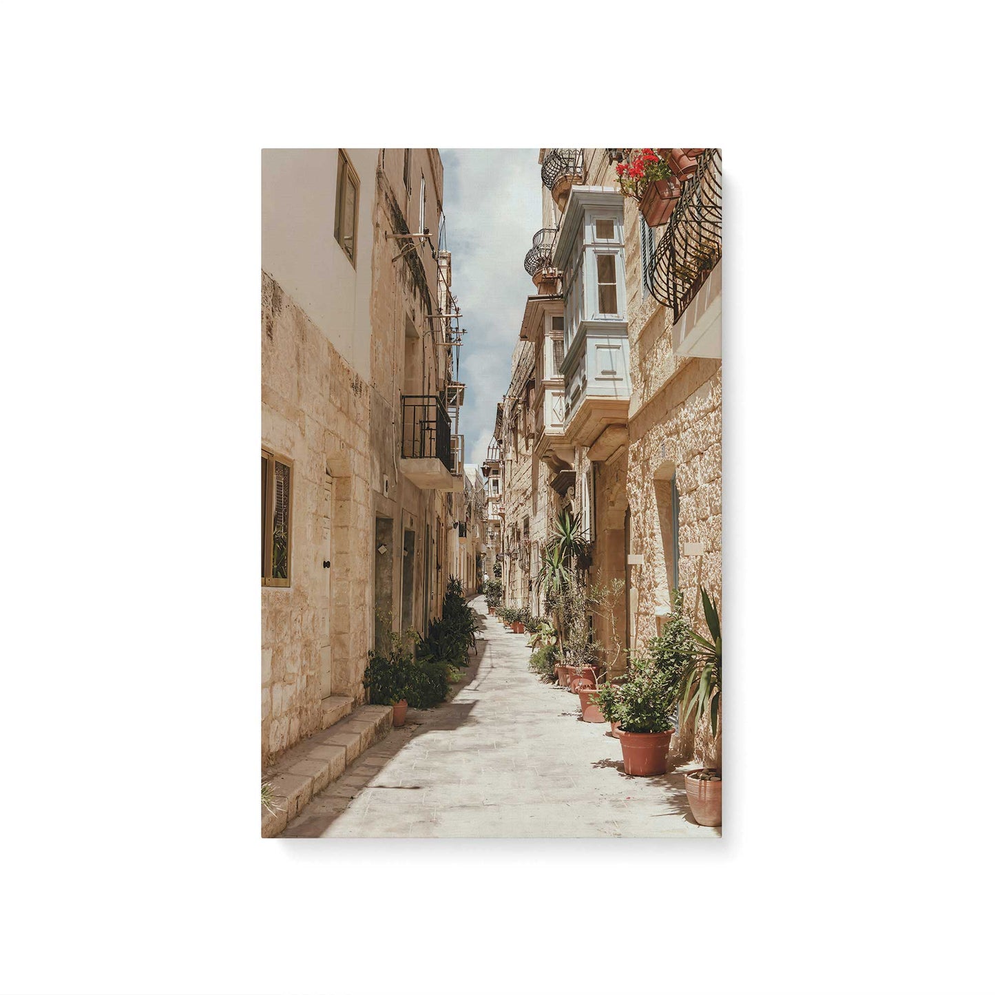 [Color:Stretched Canvas], Picture of art